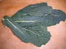 Kale